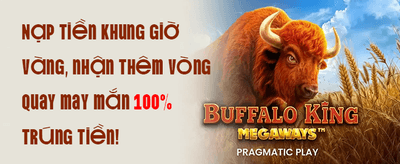 Unlimited VIP Rebate