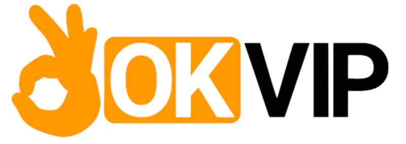 VNOKVIP Logo